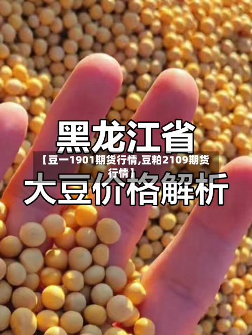 【豆一1901期货行情,豆粕2109期货行情】