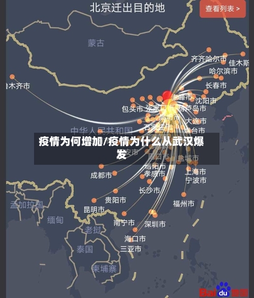 疫情为何增加/疫情为什么从武汉爆发-第2张图片