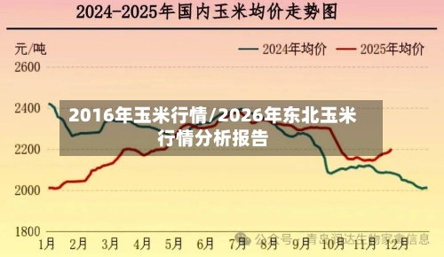 2016年玉米行情/2026年东北玉米行情分析报告-第3张图片