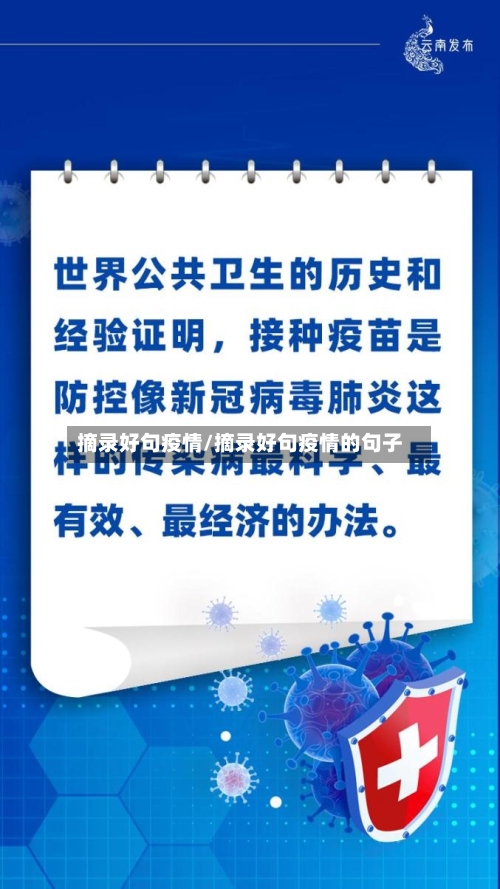 摘录好句疫情/摘录好句疫情的句子