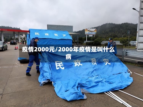 疫情2000元/2000年疫情是叫什么病