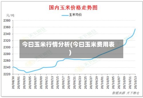 今曰玉米行情分析(今曰玉米费用表)-第3张图片