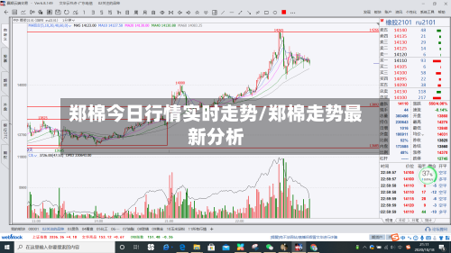 郑棉今日行情实时走势/郑棉走势最新分析