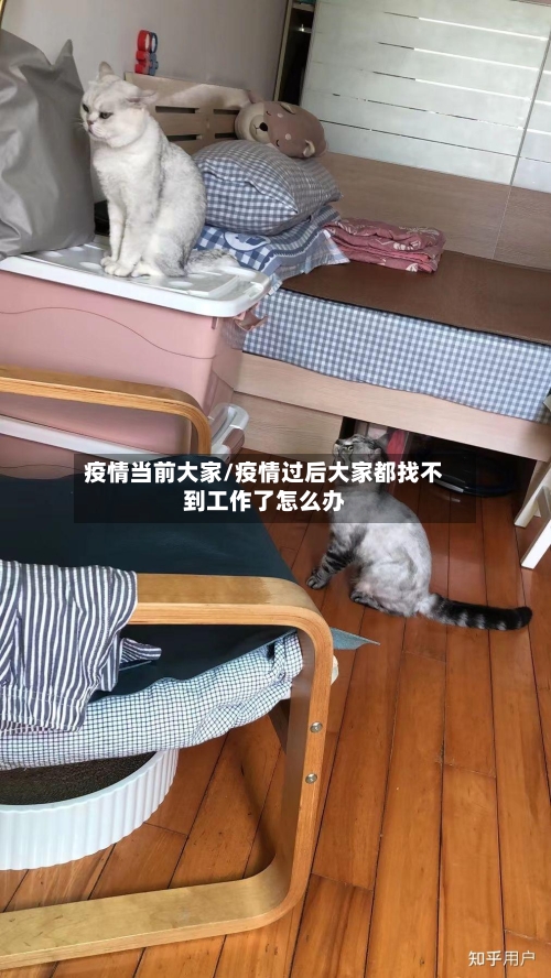 疫情当前大家/疫情过后大家都找不到工作了怎么办