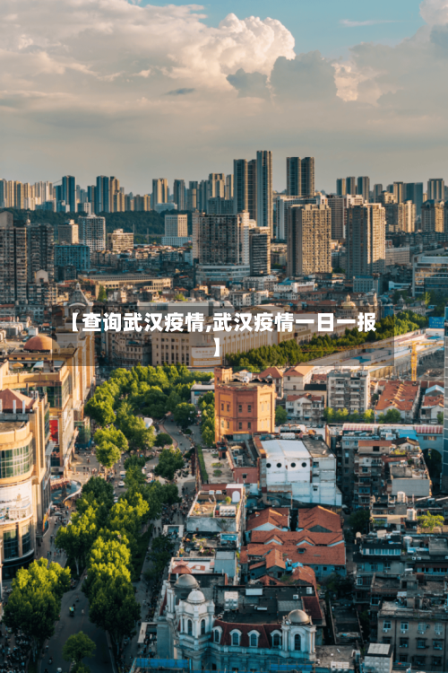 【查询武汉疫情,武汉疫情一日一报】-第3张图片