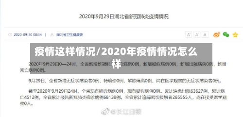 疫情这样情况/2020年疫情情况怎么样