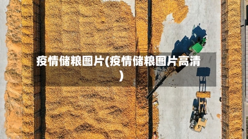 疫情储粮图片(疫情储粮图片高清)-第3张图片
