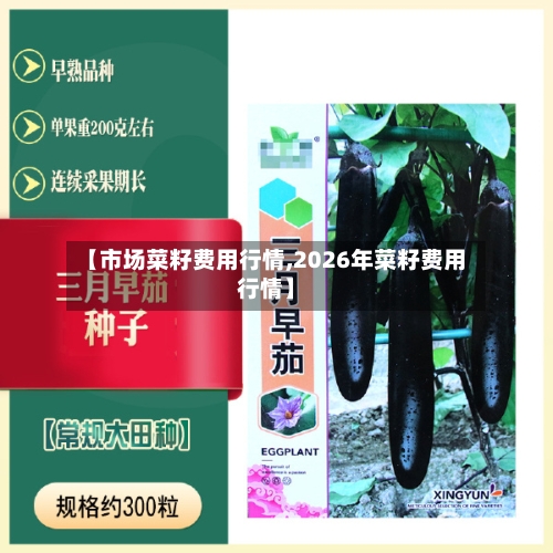 【市场菜籽费用行情,2026年菜籽费用行情】-第3张图片