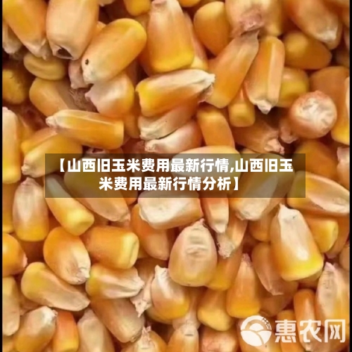 【山西旧玉米费用最新行情,山西旧玉米费用最新行情分析】
