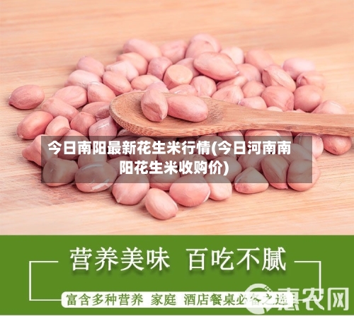 今日南阳最新花生米行情(今日河南南阳花生米收购价)-第2张图片