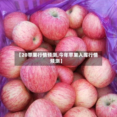 【20苹果行情预测,今年苹果入库行情预测】