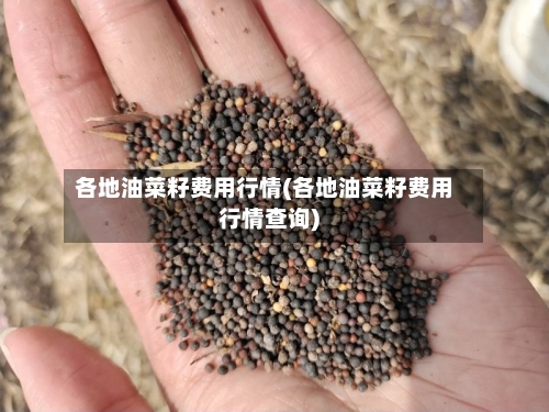 各地油菜籽费用行情(各地油菜籽费用行情查询)