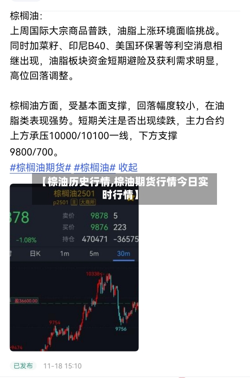 【棕油历史行情,棕油期货行情今日实时行情】-第2张图片
