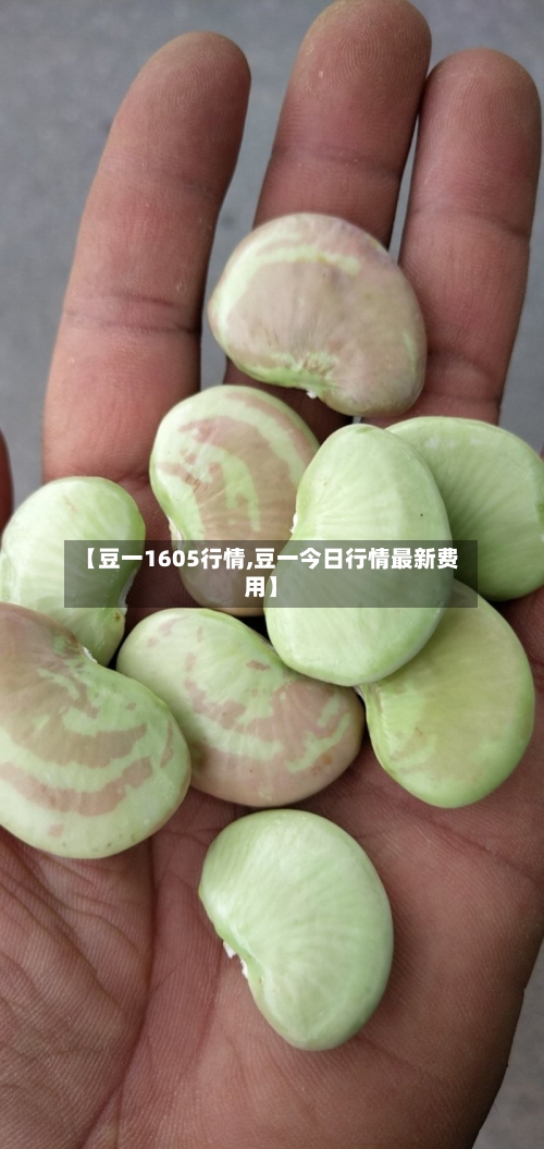 【豆一1605行情,豆一今日行情最新费用】