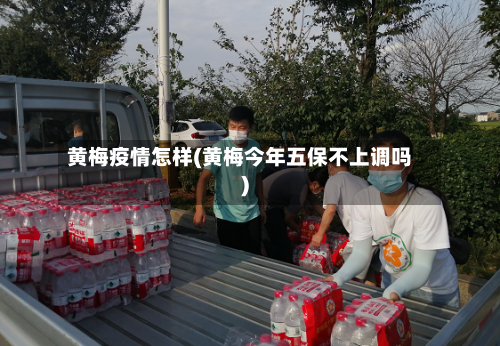 黄梅疫情怎样(黄梅今年五保不上调吗)-第3张图片