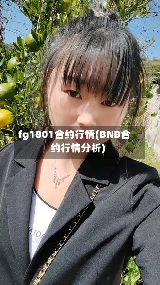 fg1801合约行情(BNB合约行情分析)-第2张图片