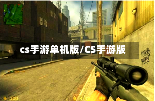 cs手游单机版/CS手游版