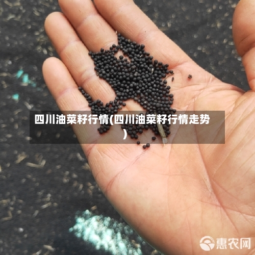 四川油菜籽行情(四川油菜籽行情走势)-第3张图片