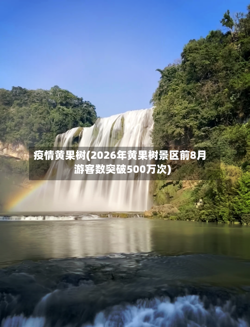 疫情黄果树(2026年黄果树景区前8月游客数突破500万次)