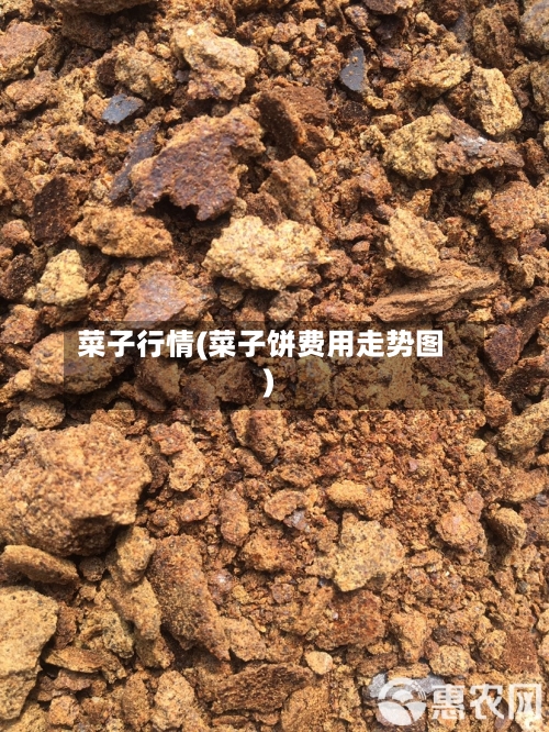 菜子行情(菜子饼费用走势图)-第3张图片