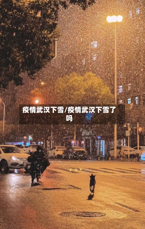 疫情武汉下雪/疫情武汉下雪了吗