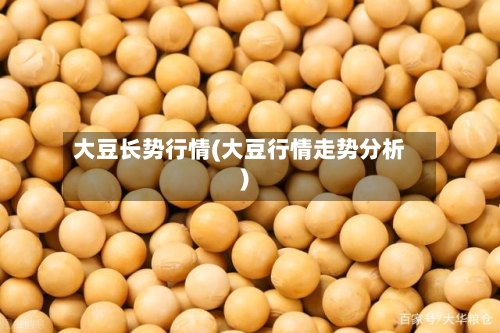 大豆长势行情(大豆行情走势分析)