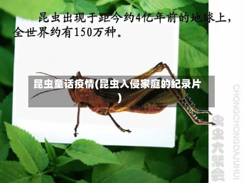 昆虫童话疫情(昆虫入侵家庭的纪录片)