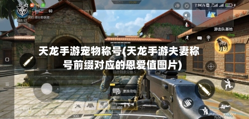 天龙手游宠物称号(天龙手游夫妻称号前缀对应的恩爱值图片)-第2张图片