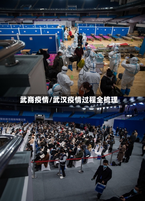 武商疫情/武汉疫情过程全梳理-第2张图片