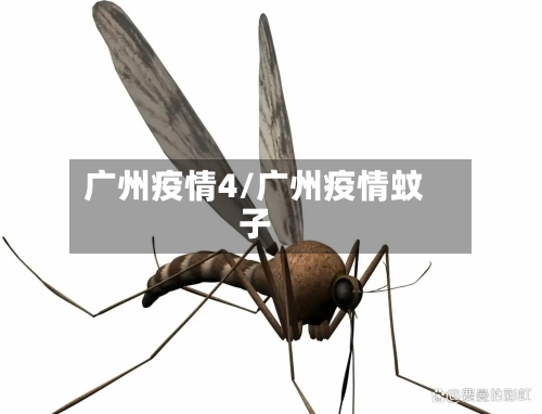 广州疫情4/广州疫情蚊子