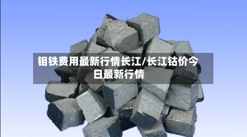 钼铁费用最新行情长江/长江钴价今日最新行情-第2张图片