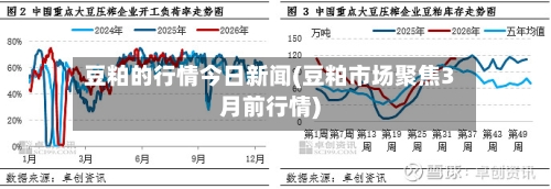 豆粕的行情今日新闻(豆粕市场聚焦3月前行情)-第2张图片