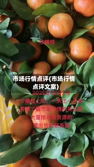 市场行情点评(市场行情点评文案)
