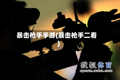 暴击枪手手游(暴击枪手二看)-第2张图片