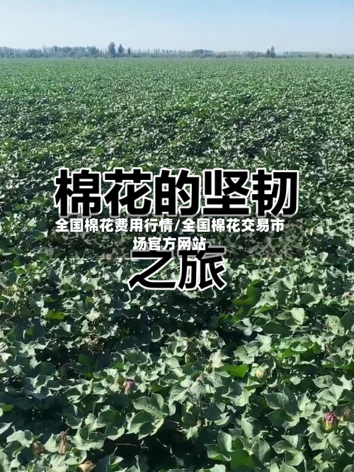 全国棉花费用行情/全国棉花交易市场官方网站-第2张图片