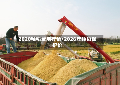 2020粳稻费用行情/2026年粳稻保护价-第3张图片