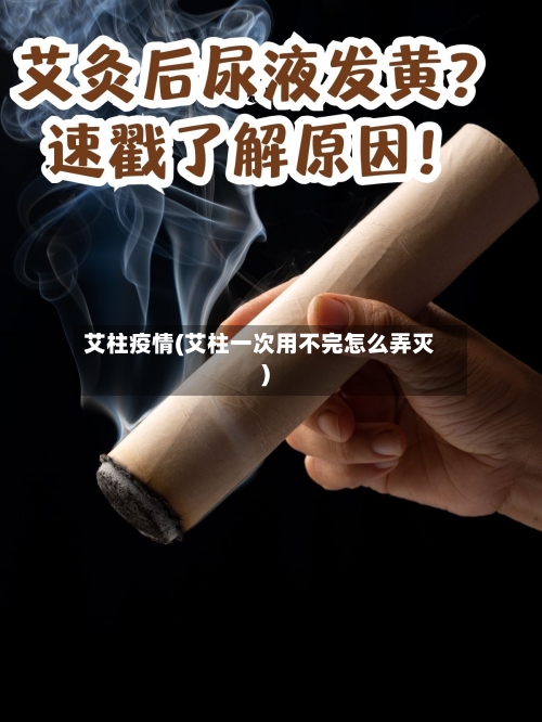艾柱疫情(艾柱一次用不完怎么弄灭)-第2张图片