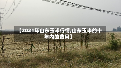 【2021年山东玉米行情,山东玉米的十年内的费用】