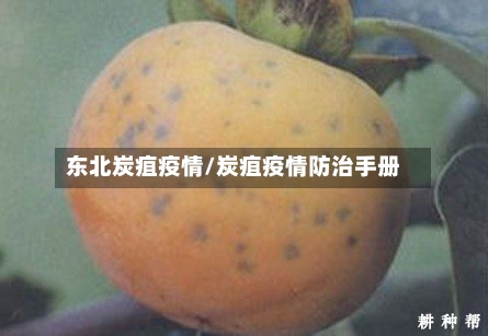 东北炭疽疫情/炭疽疫情防治手册