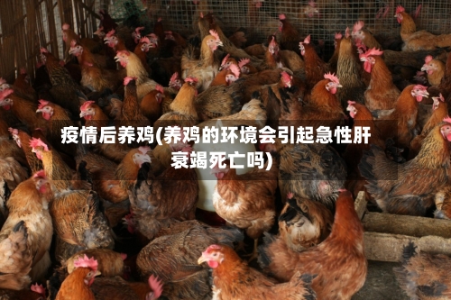 疫情后养鸡(养鸡的环境会引起急性肝衰竭死亡吗)