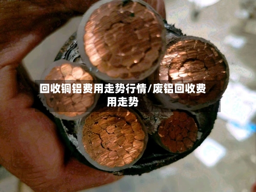 回收铜铝费用走势行情/废铝回收费用走势-第3张图片