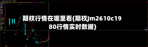 期权行情在哪里看(期权Jm2610c1980行情实时数据)-第3张图片