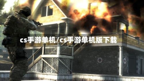 cs手游单机/cs手游单机版下载