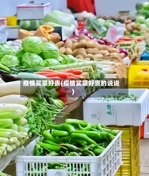 疫情买菜好贵(疫情买菜好贵的说说)