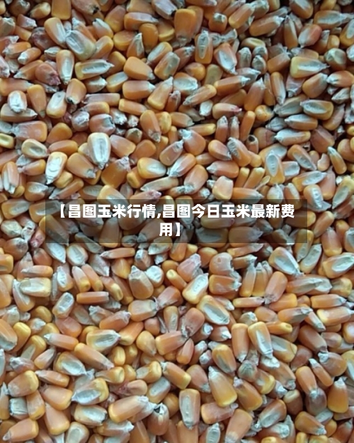 【昌图玉米行情,昌图今日玉米最新费用】-第3张图片