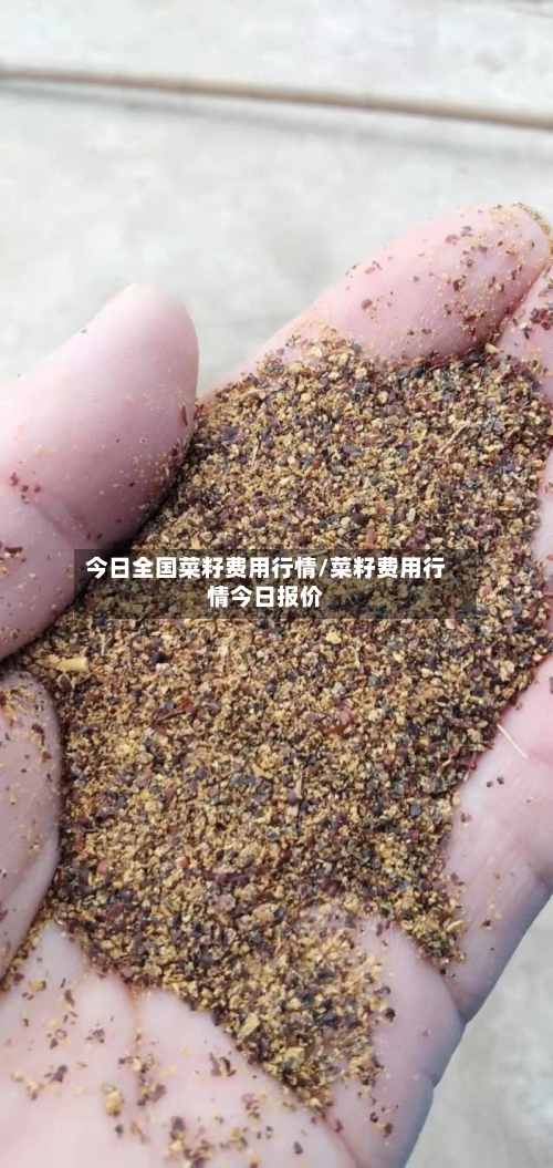 今日全国菜籽费用行情/菜籽费用行情今日报价
