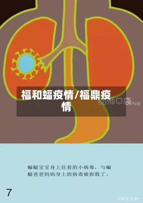 福和蝠疫情/福鼎疫情-第3张图片