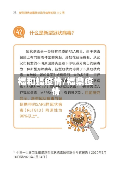 福和蝠疫情/福鼎疫情-第2张图片
