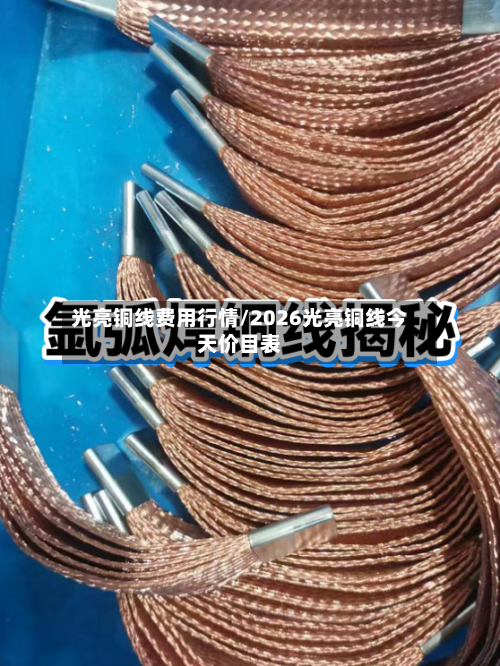 光亮铜线费用行情/2026光亮铜线今天价目表