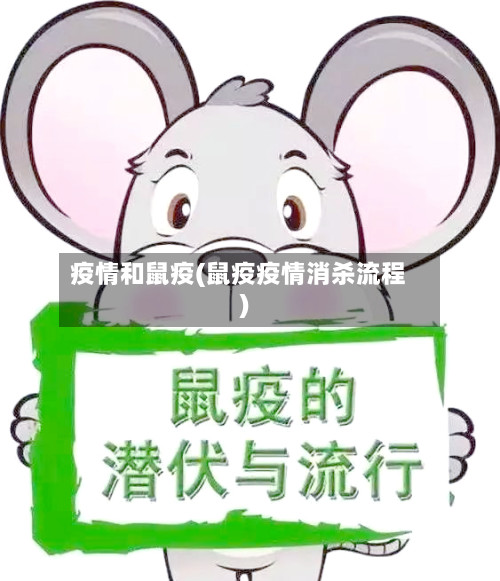 疫情和鼠疫(鼠疫疫情消杀流程)